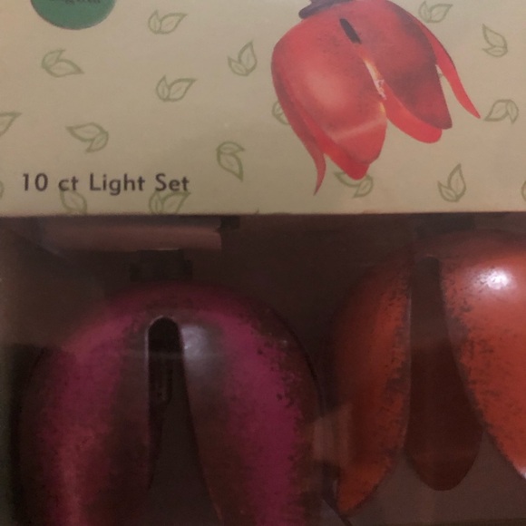 NWT Vintage-y & Funky Indoor/Outdoor Decorative Lights by Gardener’s Choice - Picture 3 of 6